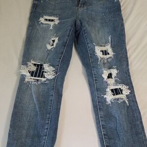 Judy Blue Ripped Denim Skinny Jeans